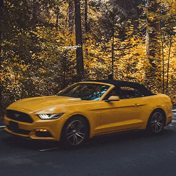 Ford Repair and Service in Washington, DC