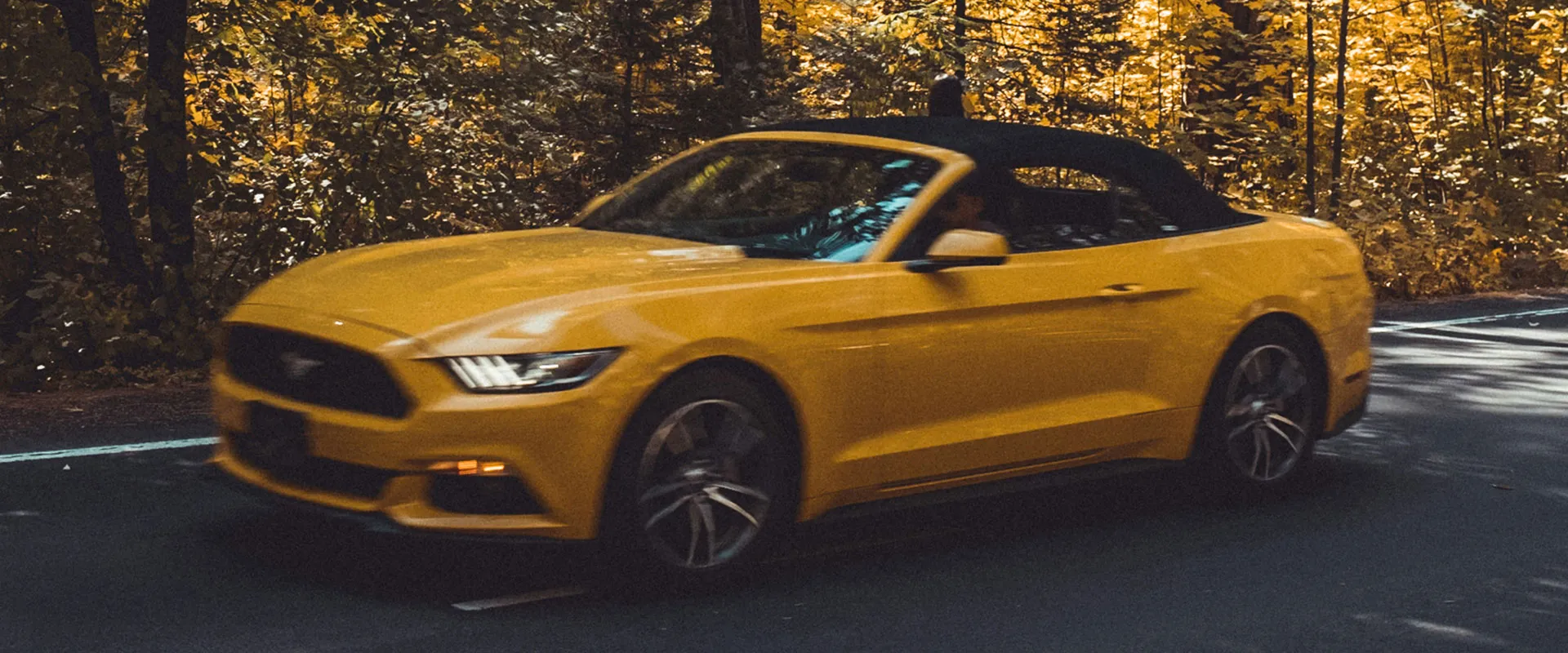 Ford Repair and Service near Washington, DC